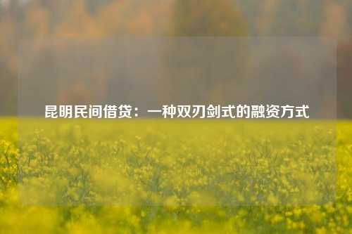 昆明民间借贷：一种双刃剑式的融资方式 昆明民间借贷 昆明私借  第1张