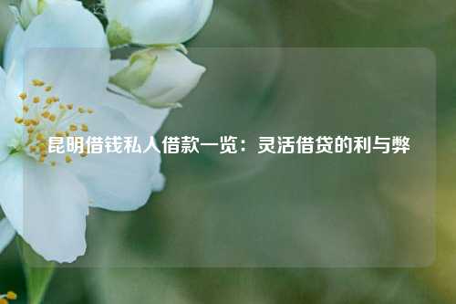 昆明借钱私人借款一览：灵活借贷的利与弊 昆明借钱私人借款一览 昆明私人借款  第1张