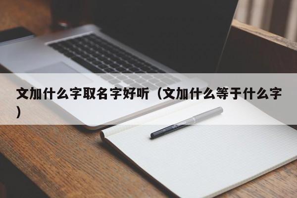 文加什么字取名字好听(文加什么等于什么字)