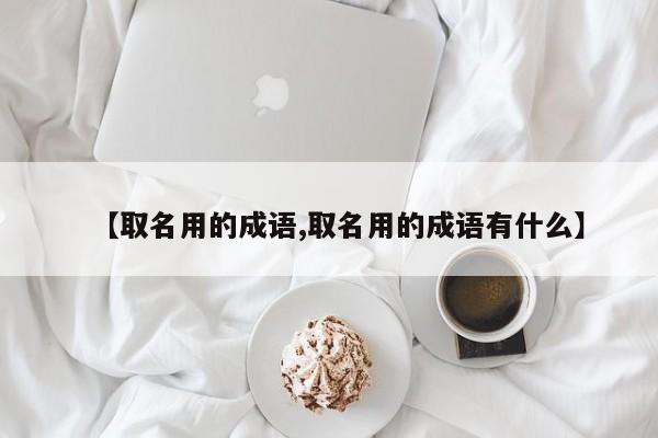 【取名用的成语,取名用的成语有什么】