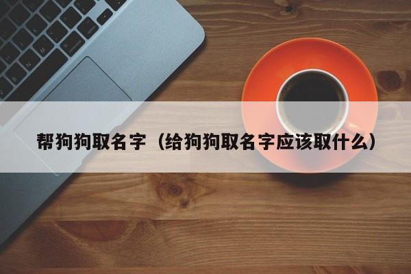 帮狗狗取名字(给狗狗取名字应该取什么)