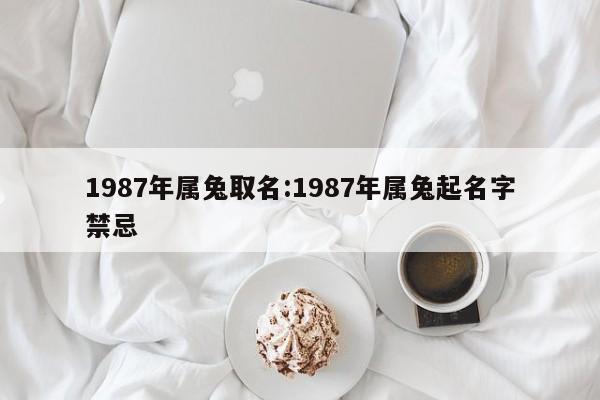 1987年属兔取名:1987年属兔起名字禁忌