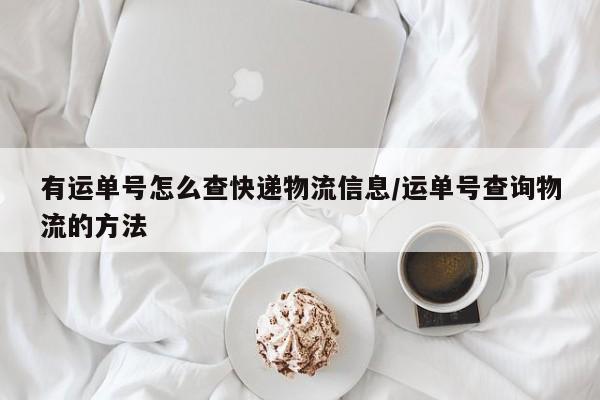 有运单号怎么查快递物流信息/运单号查询物流的方法