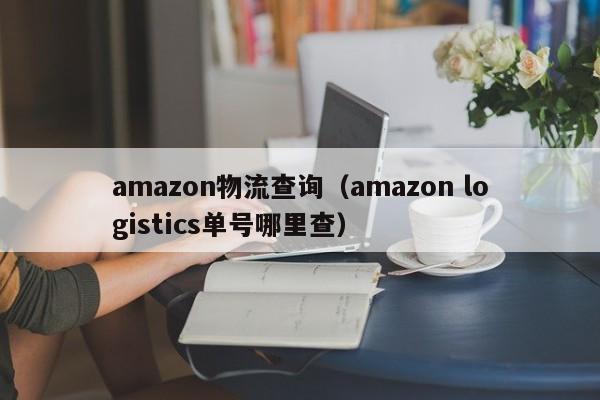 amazon物流查询(amazon logistics单号哪里查)