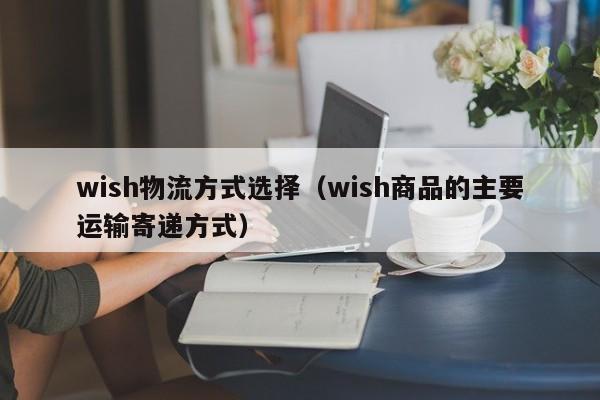 wish物流方式选择（wish商品的主要运输寄递方式）