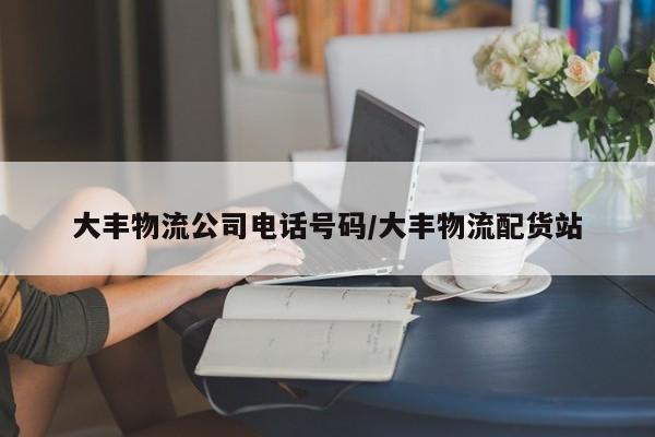 大丰物流公司电话号码/大丰物流配货站