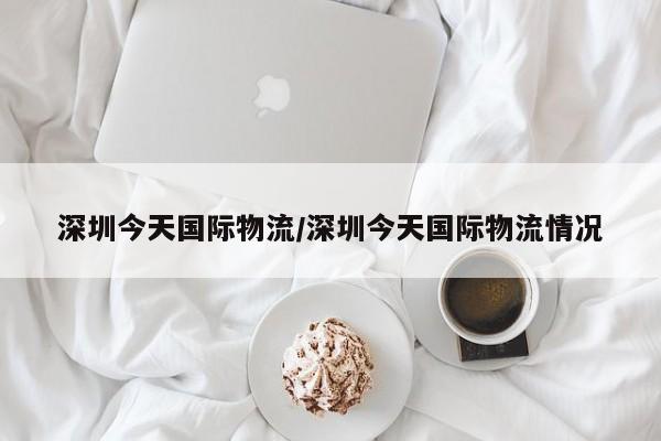 深圳今天国际物流/深圳今天国际物流情况