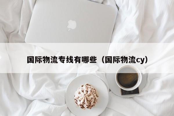 国际物流专线有哪些（国际物流cy）