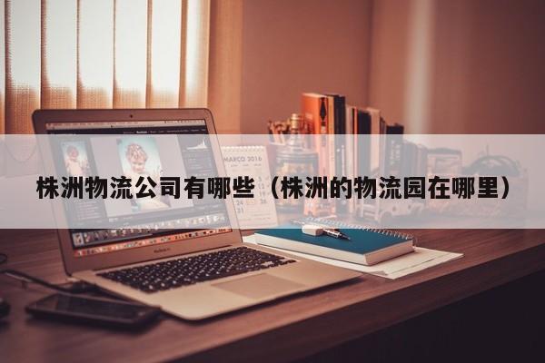 株洲物流公司有哪些(株洲的物流园在哪里)