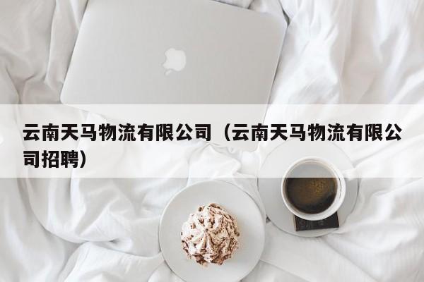 云南天马物流有限公司(云南天马物流有限公司招聘)