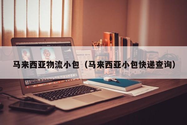 马来西亚物流小包(马来西亚小包快递查询)