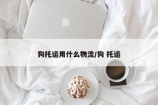 狗托运用什么物流/狗 托运