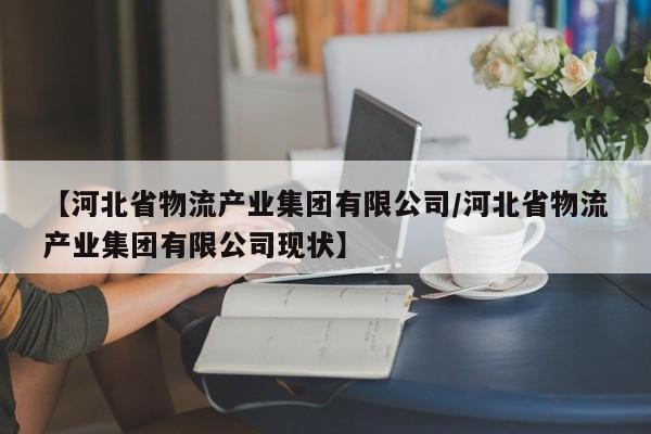 【河北省物流产业集团有限公司/河北省物流产业集团有限公司现状】