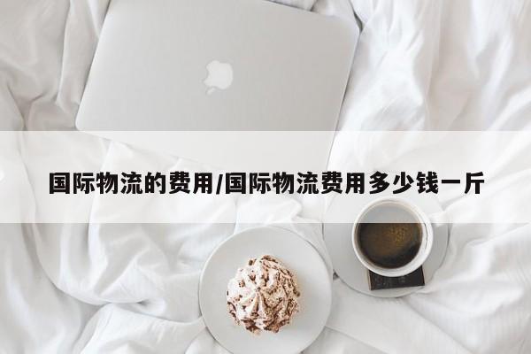 详细阅读:国际物流的费用/国际物流费用多少钱一斤 国际物流的费用/国际物流费用多少钱一斤