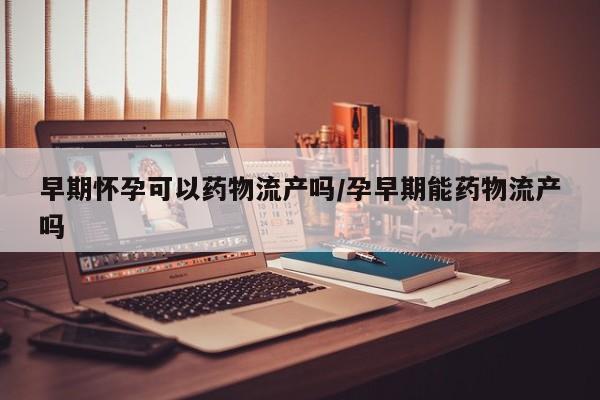 早期怀孕可以药物流产吗/孕早期能药物流产吗