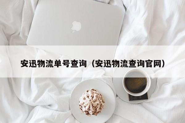 安迅物流单号查询(安迅物流查询官网)