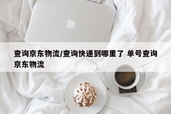 查询京东物流/查询快递到哪里了 单号查询京东物流