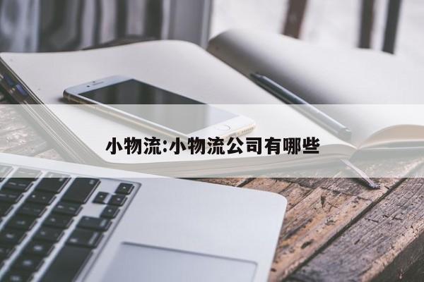 小物流:小物流公司有哪些
