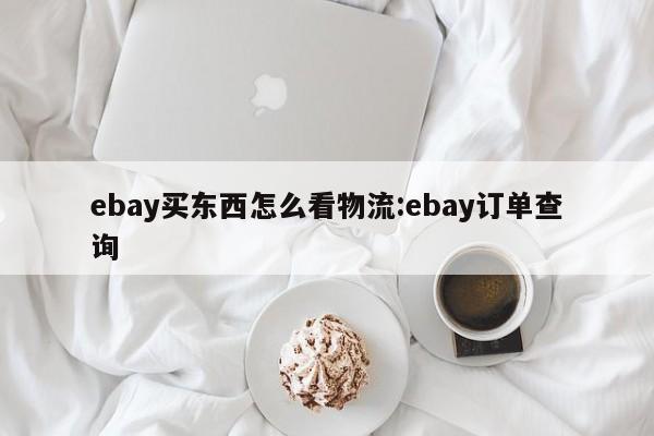 ebay买东西怎么看物流:ebay订单查询
