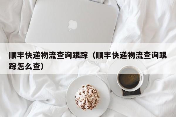 顺丰快递物流查询跟踪(顺丰快递物流查询跟踪怎么查)