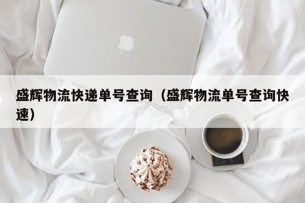 盛辉物流快递单号查询（盛辉物流单号查询快速）