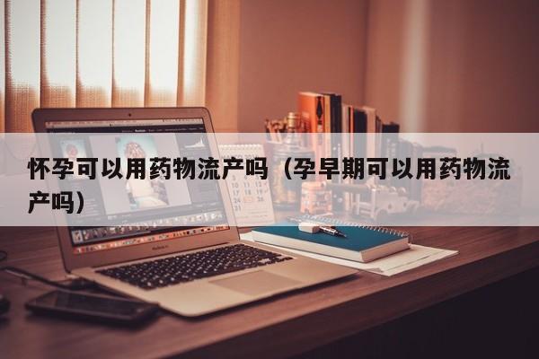 怀孕可以用药物流产吗(孕早期可以用药物流产吗)